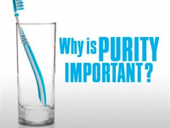 Why is Purity Important?