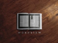 New Series: Wordview